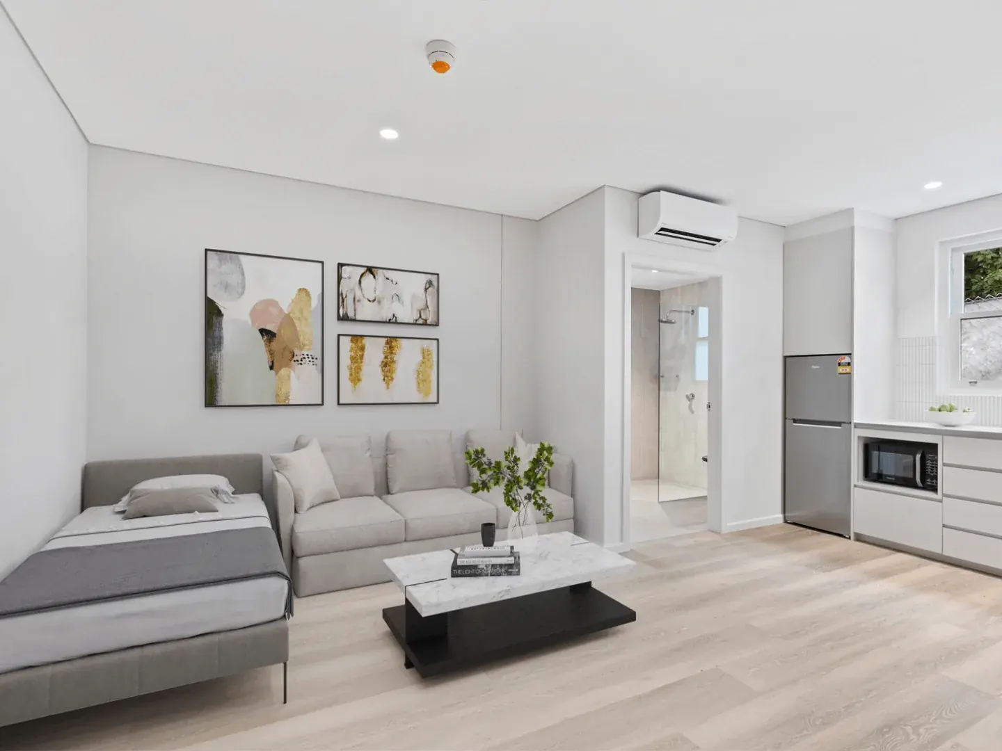 the living area of a studio apartment at Erskineville, with the bathroom door open
