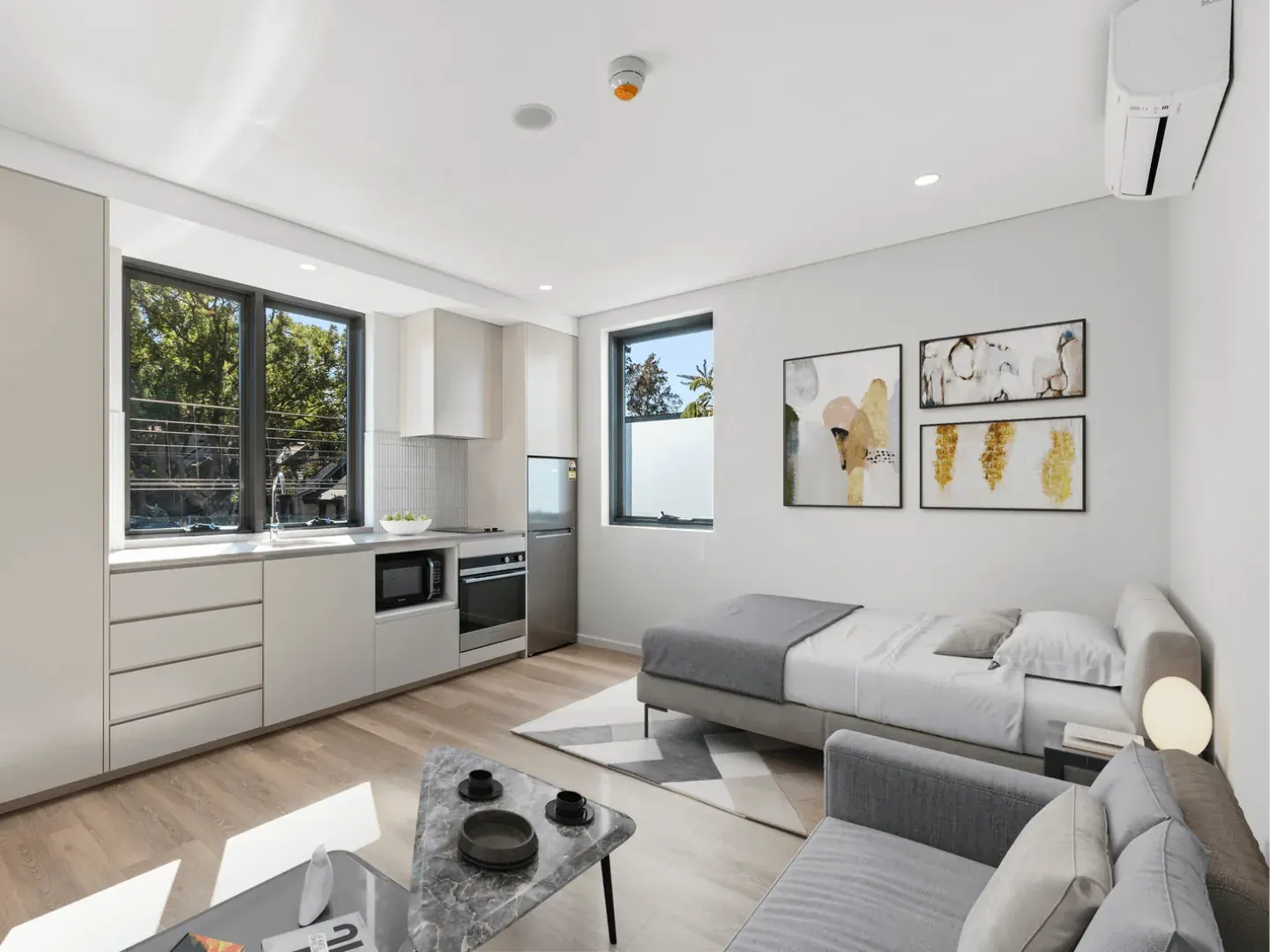a studio apartment at Erskineville with a bed, sofa and kitchen in the one room