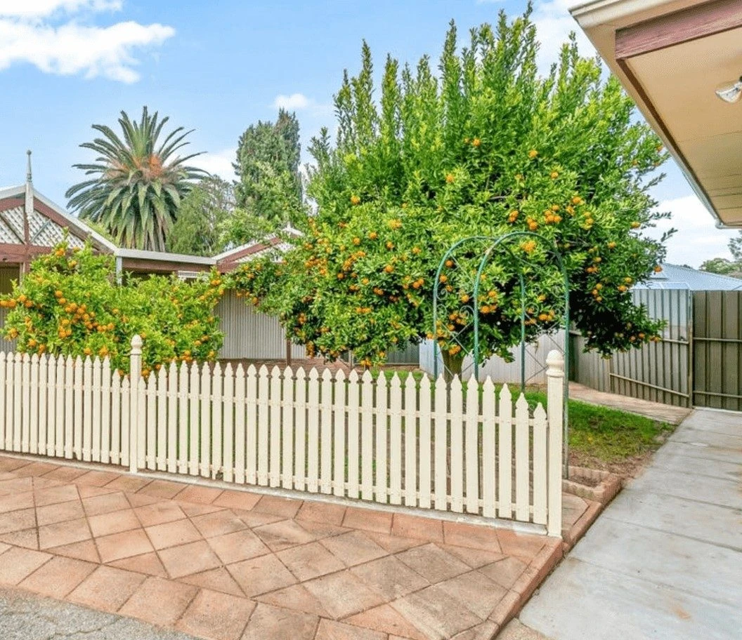 The garden and fruit trees in the yard at Para Vista